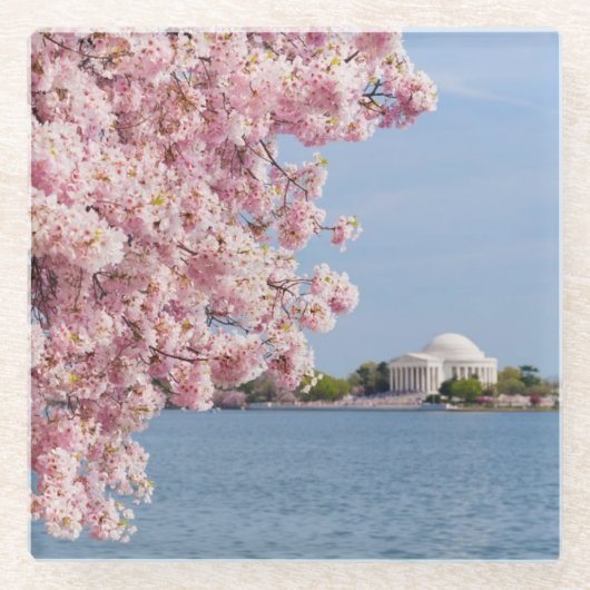 USA, Washington DC, Kirschbaum Glasuntersetzer (Vorderseite)