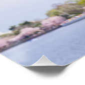 USA, Washington DC, Kirschbaum in Blüte Poster (Ecke)