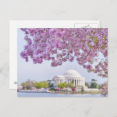 USA, Washington DC, Kirschbaum in Blüte Postkarte (Vorne/Hinten)