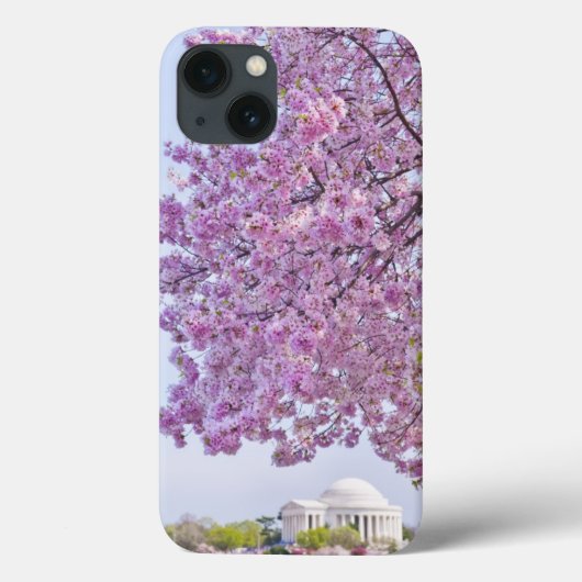 USA, Washington DC, Kirschbaum in der Blüte Case-Mate iPhone Hülle (Rückseite)