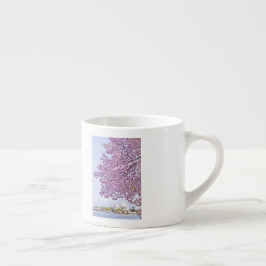 USA, Washington DC, Kirschbaum in der Blüte Espressotasse (Rechts)
