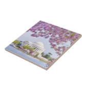 USA, Washington DC, Kirschbaum in der Blüte Fliese (Seite)