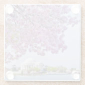 USA, Washington DC, Kirschbaum in der Blüte Glasuntersetzer (Rückseite)