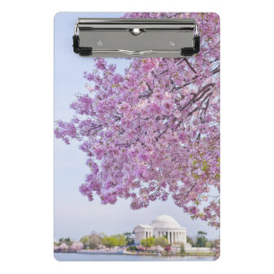 USA, Washington DC, Kirschbaum in der Blüte Mini Klemmbrett