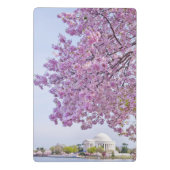 USA, Washington DC, Kirschbaum in der Blüte Mini Klemmbrett (Rückseite)