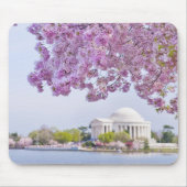 USA, Washington DC, Kirschbaum in der Blüte Mousepad (Vorne)