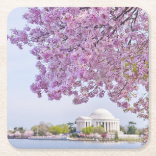 USA, Washington DC, Kirschbaum in der Blüte Rechteckiger Pappuntersetzer