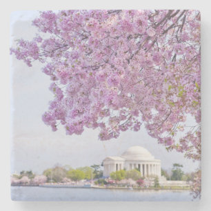 USA, Washington DC, Kirschbaum in der Blüte Steinuntersetzer