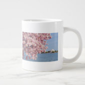 USA, Washington DC, Kirschbaum Jumbo-Tasse (Rechts)