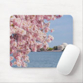 USA, Washington DC, Kirschbaum Mousepad (Mit Mouse)