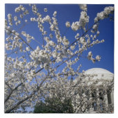 USA, Washington DC. Kirschblüte Festival und 2 Fliese (Vorderseite)