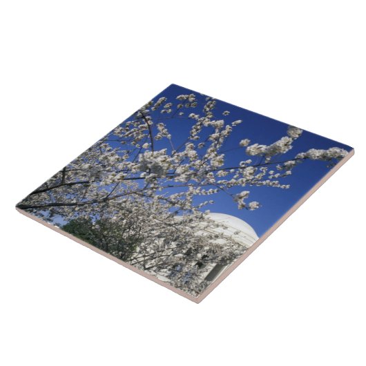 USA, Washington DC. Kirschblüte Festival und 2 Fliese (Seite)