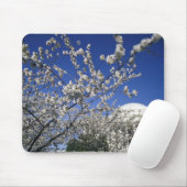 USA, Washington DC. Kirschblüte Festival und 2 Mousepad (Mit Mouse)