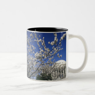 USA, Washington DC. Kirschblüte Festival und 2 Zweifarbige Tasse