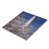 USA, Washington DC. Kirschblüten-Festival und Fliese (Seite)