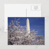 USA, Washington DC. Kirschblüten-Festival und Postkarte (Vorne/Hinten)