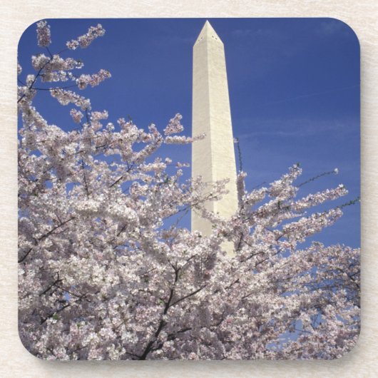 USA, Washington DC. Kirschblüten-Festival und Untersetzer (Vorderseite)