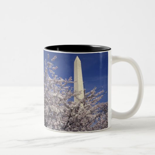 USA, Washington DC. Kirschblüten-Festival und Zweifarbige Tasse (Rechts)