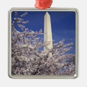 USA, Washington DC. Kirschblütenfest und Silbernes Ornament