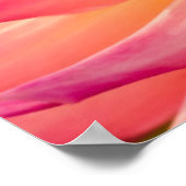 USA, Washington. Detail der Dahlia-Blume Poster (Ecke)