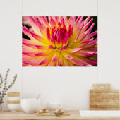 USA, Washington. Detail der Dahlia-Blume Poster (Küche)