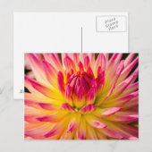 USA, Washington. Detail der Dahlia-Blume Postkarte (Vorne/Hinten)
