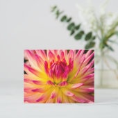 USA, Washington. Detail der Dahlia-Blume Postkarte (Stehend Vorderseite)