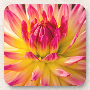 USA, Washington. Detail der Dahlienblüte Getränkeuntersetzer