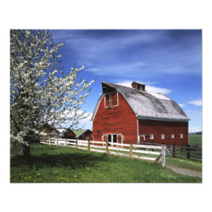 USA, Washington, Ellensburg, Barn Fotodruck