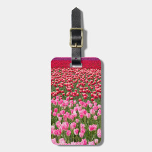 USA, Washington. Feld der mehrfarbigen Tulipen Gepäckanhänger