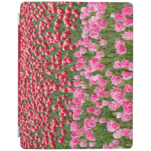 USA, Washington. Feld der mehrfarbigen Tulipen iPad Hülle