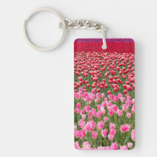USA, Washington. Feld mit mehrfarbigen Tulpen Schlüsselanhänger