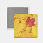 USA, Washington, Finch Arboretum, Red und Magnet (Vorderseite/Rückseite)