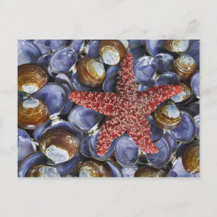 USA, Washington, Hauben-Kanal, Seabeck. Postkarte