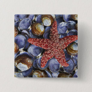 USA, Washington, Hood Canal, Seabeck. Nahaufnahme Button