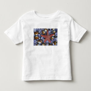 USA, Washington, Hood Canal, Seabeck. Nahaufnahme Kleinkind T-shirt