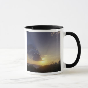 USA, Washington, in der Nähe von Port Townsend. Pu Tasse