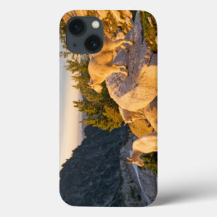 USA, Washington, Kaskadenkette 4 Case-Mate iPhone Hülle