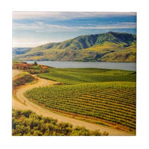 USA, Washington, Lake Chelan. Benson Vineyards Fliese
