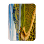 USA, Washington, Lake Chelan. Benson Vineyards Magnet (Vertikal)