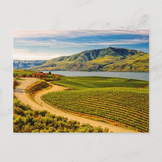 USA, Washington, Lake Chelan. Benson Vineyards Postkarte (Vorderseite)