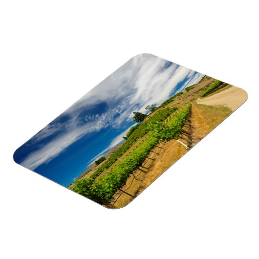 USA, Washington, Lake Chelan. Weinberg 3 Magnet (Linke Seite)