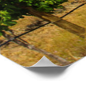 USA, Washington, Lake Chelan. Weinberg 3 Poster (Ecke)