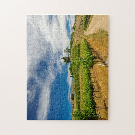 USA, Washington, Lake Chelan. Weinberg 3 Puzzle (Vertikal)