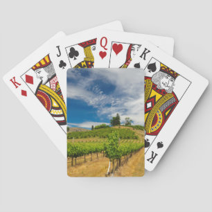 USA, Washington, Lake Chelan. Weinberg 3 Spielkarten