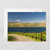 USA, Washington, Lake Chelan. Weinberg Postkarte (Vorne/Hinten)