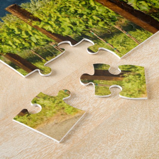 USA, Washington, Lake Chelan. Weinberg Puzzle (Seite)