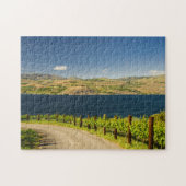 USA, Washington, Lake Chelan. Weinberg Puzzle (Horizontal)