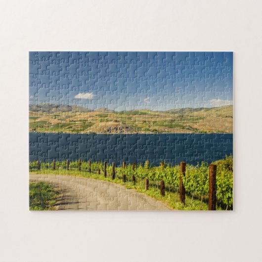 USA, Washington, Lake Chelan. Weinberg Puzzle (Horizontal)