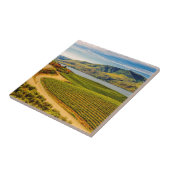 USA, Washington, Lake Chelan. Weintrauben von Bens Fliese (Seite)